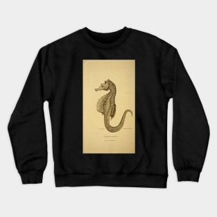 Hippocampus: seahorse Crewneck Sweatshirt